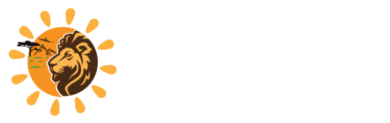 light logo