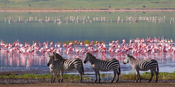 Lake Bogoria - Lake Naivasha