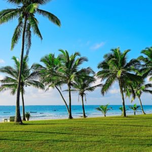 10 Day National Parks To Safari Beaches Tour