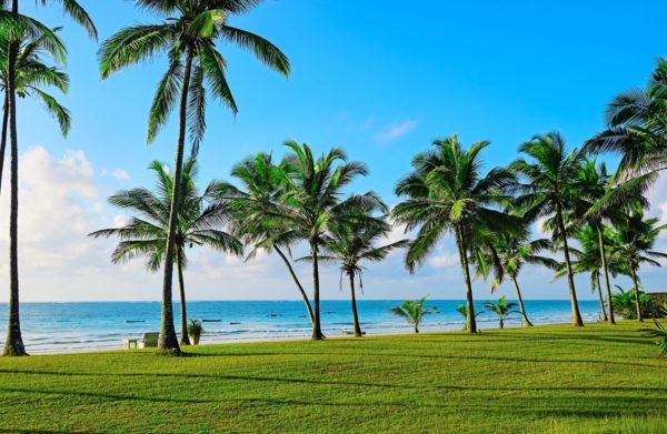 10 Day National Parks To Safari Beaches Tour
