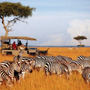 Kenya Wilderness Safari
